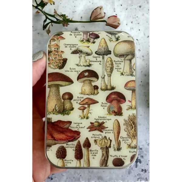 Firefly Notes - Notions Tin