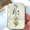 Firefly Notes - Notions Tin