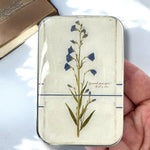Firefly Notes - Notions Tin