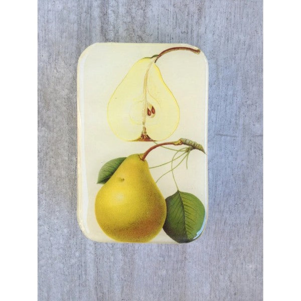 Firefly Notes - Notions Tin
